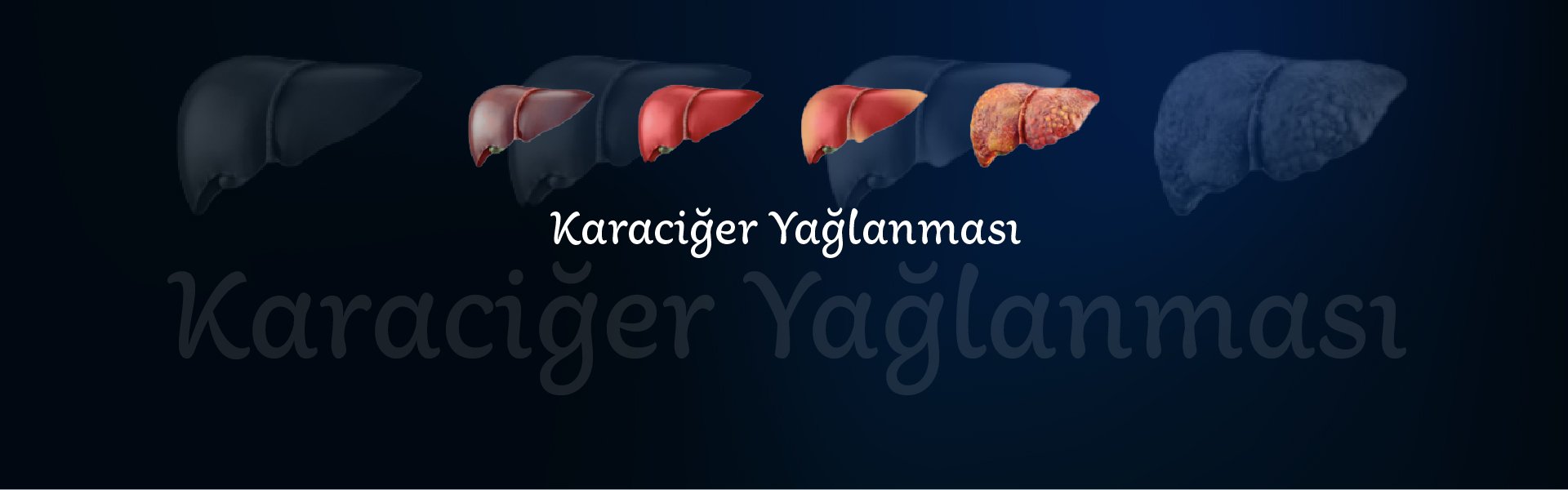 Karaciğer yağlanması karaciğer hücrelerinde normalin üzerinde yağ depolanması ve birikmesi ile ortaya çıkan bir karaciğer hastalığıdır.